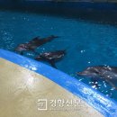 비봉목욕탕 이미지