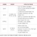 포이시스 네이버블로그