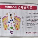 원적외선 수소수 송도족욕, 강남족욕 송도점