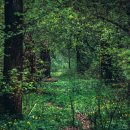 신선골프클럽 이미지