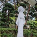(주)찰리초코