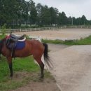 웅지승마센터 이미지