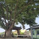 대안4리마을회관 이미지