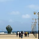 포항 구룡포 호미곶 주차 가볼만한곳 추천