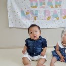 세진수선 이미지