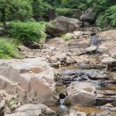 두발로여행 | 도봉산을 휠체어나 유모차로 어디까지 갈 수 있나? 물론 난 두발로 걸어본 솔직 산책 후기 (26년 6월1일)