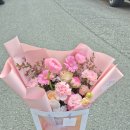 진영큐어 이미지