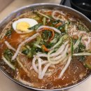 국수나무 이미지