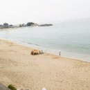 자이펜션 이미지