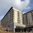 포레스트리솜 이미지