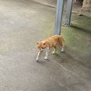동루골막국수 | 강원도 동치미 막국수 동루골막국수 본점 후기