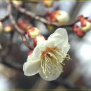 필봉농장 이미지