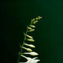 카페뜨락 이미지