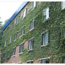 성류식당 이미지