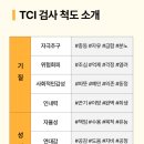 고고 PC | [리뷰] 위드인사이트 TCI 기질검사 후기, MBTI로는 몰랐던 내 기질 확인하기