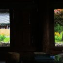 강원 인제-방태산자연휴양림(2014.7.13-15)