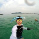 물고기천국