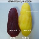 온드폴댄스 이미지