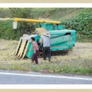 순천향매실마을 이미지