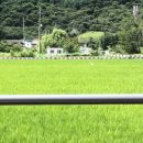 백로트레일러 이미지