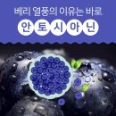 순장농장 이미지