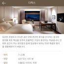 서울신라호텔- 25년4월 호캉스 최신후기 2탄 (비즈니스 디럭스룸, 남산뷰, 룸서비스, 현대카드바우처)