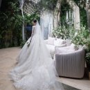 Wedding : 울산 로브블랑쉬| 울산 본식드레스피팅 | 울산시티컨벤션 본식 후기
