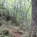 세석가는길 이미지