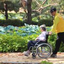 명동공원 이미지