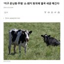 [해외이슈] 지구 온난화 주범' 소·돼지 방귀에 결국 세금 매긴다 (인공육 빌드업) 이미지