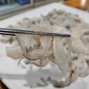 병점초등학교 | 해남땅끝세꼬시전문점 가성비 미쳐버린 병점역횟집