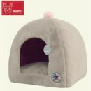 브라운퍼피 이미지