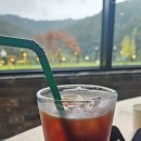 파라다이스 도고 주변 베이커리카페 솔그린 방문기(내돈내산)