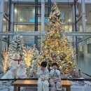 고래고래 | 전주근교 주말 아이랑 어디가지? 서천 시큐리움 + 바다마을 고래고래 2살 5살 후기