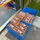 번창축산 | 해오름 하이축산 내돈내산 한우꽃등심 , 삼겹살 후기