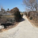 시례농장 이미지