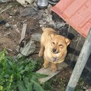 김상배농장 이미지