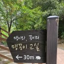 초막골 이미지