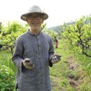 박미향 농장 이미지