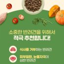 에코세븐