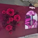 (주)바디프랜드 롯데대구점 | 더현대 대구 팝업 - 시슬리샘플링, 바디프렌드 체험, 디올샘플링, 레고 나이키 구입!