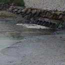 도성축산 이미지