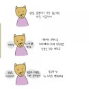 세일정형외과 네이버블로그
