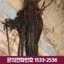 정도엠엔피
