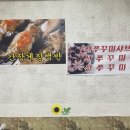 충무산낙지 이미지