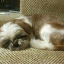 남구-017 이미지