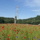 인천대공원(야외음악당 옆) 네이버블로그