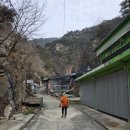 봄들야생화 | 춘천 삼악산 등선폭포 코스｜흥국사 지나 용화봉까지 봄 야생화 산행 후기
