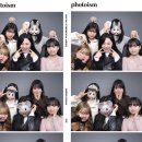 꽃잎하나 이미지