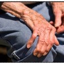 정진바이오 이미지